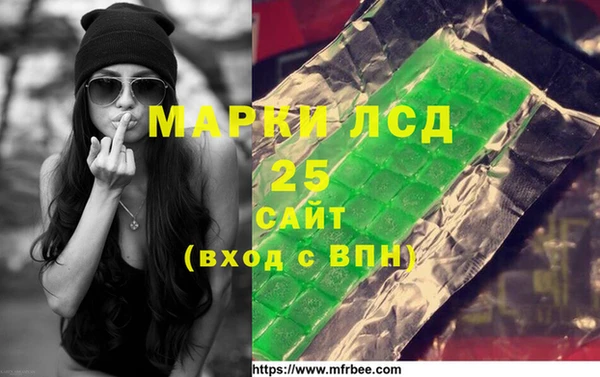 хмурый Абаза