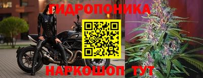 метадон Вышний Волочёк